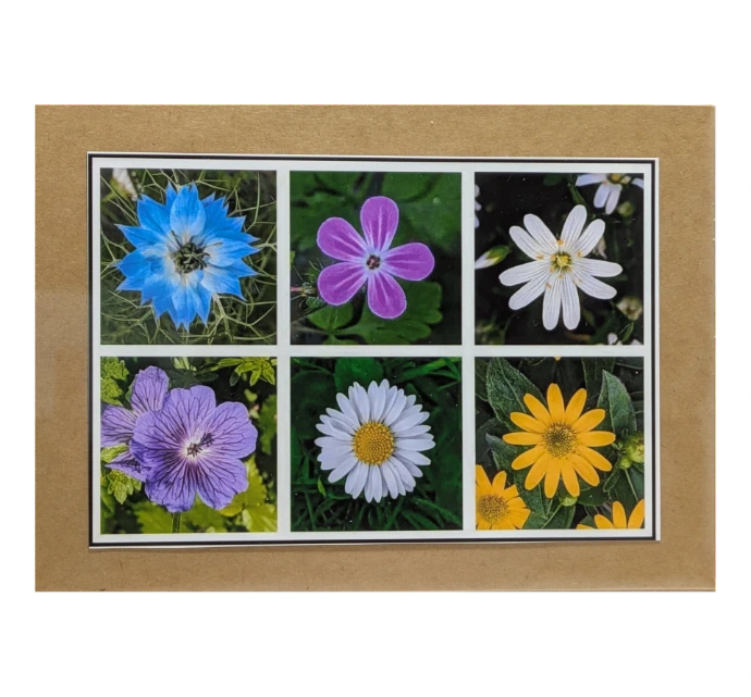 Mixed Flowers design 1