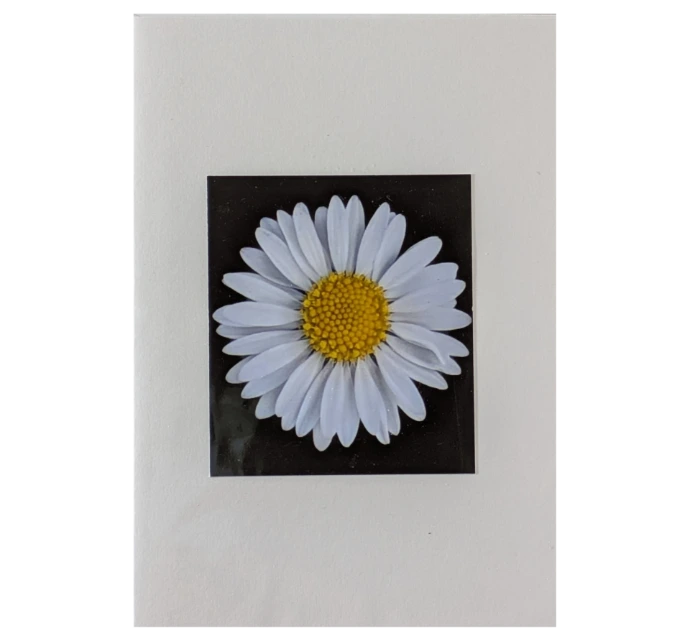 Daisy (6"x4")