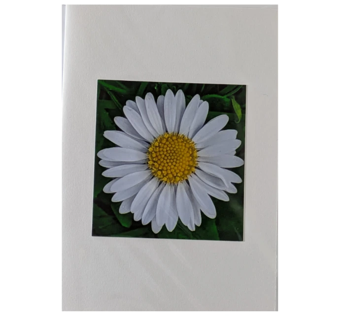 Daisy (Mini) design 2